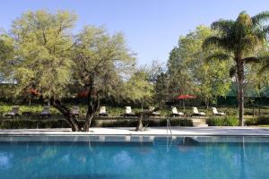 阿瓜斯卡连特斯阿瓜斯卡连特斯万豪酒店的一座带椅子和树木的游泳池