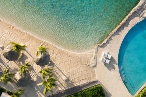 威廉斯塔德Renaissance Wind Creek Curacao Resort的享有棕榈树海滩和游泳池的顶部景色