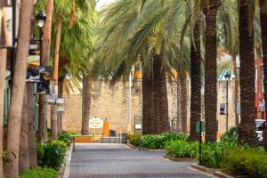 威廉斯塔德Renaissance Wind Creek Curacao Resort的棕榈树的走道,在建筑前