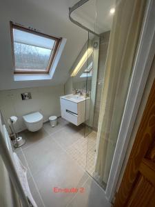 布由德利Corner Cottage的一间带卫生间和玻璃淋浴间的浴室