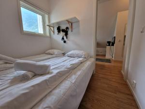温勒达尔Undredal Fjord Apartments的墙上有狗的房间的两张床