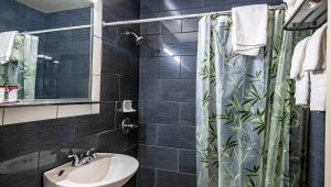 新坎伯兰Magnuson Grand Harrisburg的一间带水槽和淋浴帘的浴室