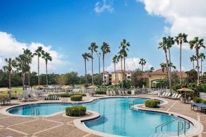 圣露西港Sheraton PGA Vacation Resort Port St Lucie的棕榈树度假村的游泳池
