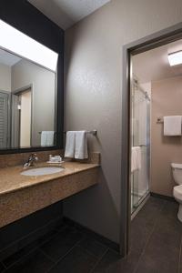 圣安东尼奥圣安东尼奥医学中心万豪万怡酒店的一间带水槽和镜子的浴室