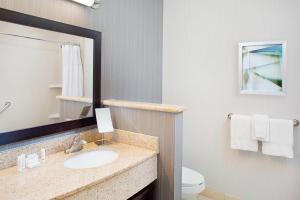 圣安东尼奥圣安东尼奥海洋世界®/韦斯托弗山万怡酒店的一间带水槽、卫生间和镜子的浴室