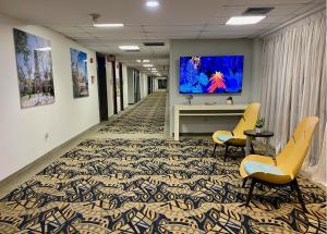 圣胡安Ficus Hotel的办公室走廊设有椅子和墙上的电视