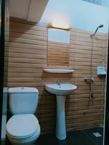 科托努Globe-trotter vision B的一间带卫生间和水槽的浴室