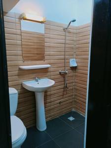 科托努Globe-trotter vision B的一间带水槽和卫生间的浴室