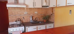 AgreloSophenia的小厨房配有炉灶和水槽