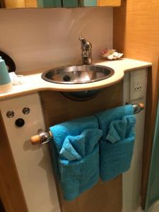 乌图罗阿Catamaran Apetahi的浴室水槽和水槽下的毛巾