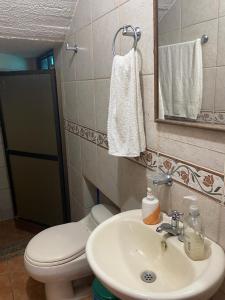 RíoverdeHostal Villa del Rio的一间带卫生间、水槽和镜子的浴室