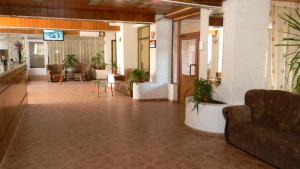 康斯坦察多布罗吉酒店的大厅,在大楼里长沙发和植物
