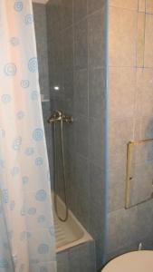 康斯坦察多布罗吉酒店的浴室配有淋浴和卫生间。