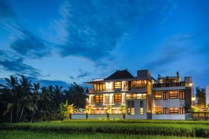 乌布巴厘岛豪华别墅式酒店的夜晚在田野中间的房子