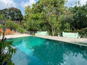 康提Fairy Cottage Kandy的拥有蓝色海水和树木的游泳池