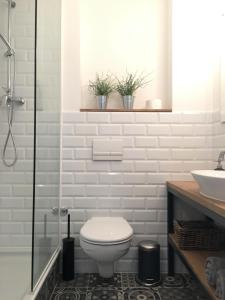 萨格勒布Apartman Benedikta的一间带卫生间和水槽的浴室