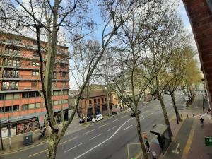 图卢兹Appartement Pont des Catalans的享有拥有建筑和树木的城市街道的景色
