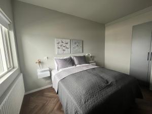 雷克雅未克Iceland SJF Apartments - 503的一间卧室配有一张带灰色毯子的床