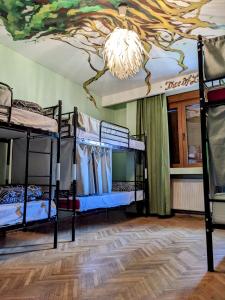 蒂米什瓦拉Re-Born Hostel的客房设有双层床,天花板上绘有绘画作品。