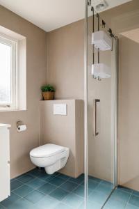 佩滕Strandhuis de Zeeparel met hottub的一间带卫生间和玻璃淋浴间的浴室