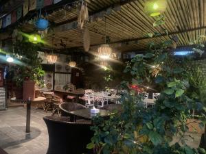 博卡拉Hotel Nightingale的一间设有桌椅的餐厅,种植了植物