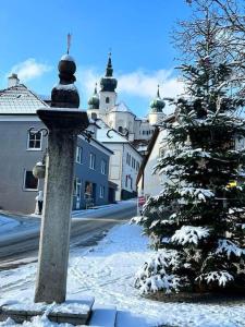 阿特斯特坦Urlaub in Schlossnähe的城市街道上一棵雪覆盖的圣诞树