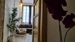 里昂里昂古老公寓的走廊上设有带沙发和鲜花的客厅
