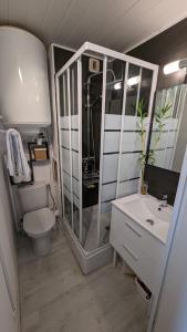 比斯卡罗斯海滩appartement T2 biscarosse plage的带淋浴、卫生间和盥洗盆的浴室