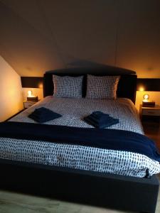 EwijkEllen's home的一间卧室配有一张大床和两盏灯