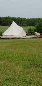 Curzay-sur-VonneCamping La Petite Houmée的紫色花田里的白色大帐篷