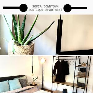 索非亚Sofia Downtown Boutique Apartment的带沙发和植物的客厅