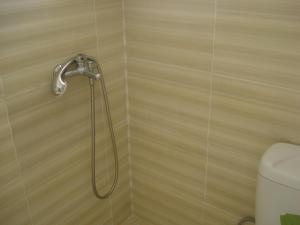 索瓦拉GOLDEN BEACH的带淋浴的浴室和卫生间