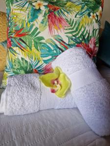 圣卢西亚Romantic Casa Rural La Molinera的床上有枕头,上面有毛巾