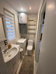卡齐米日-多尔尼Domek Okale的一间带水槽和卫生间的小浴室