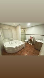 奥尔维拉Casa Rural Villa Briar的带浴缸和卫生间的大型浴室