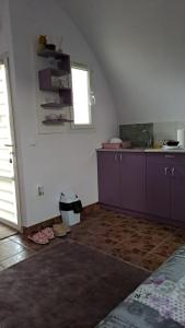 维尔蒂尼克Yellow story的厨房配有紫色橱柜、水槽和窗户