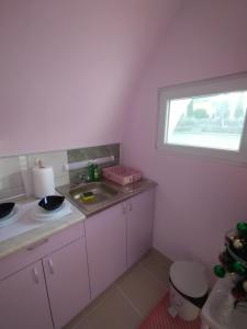 维尔蒂尼克Yellow story的一个带水槽和窗户的小厨房