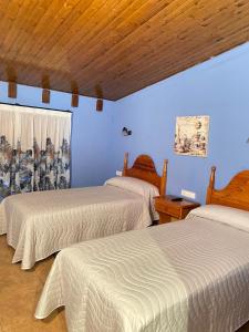 别尔赫CASA RUFAS (Sierra de Guara)的蓝色墙壁客房的两张床