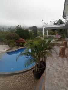 展玉Villa kaca 88的一座棕榈树游泳池,位于酒店大楼旁