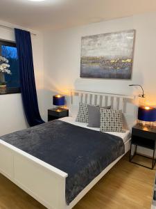纳尔巴赫Ferienwohnungen Nalbach Bierbach的一间卧室配有一张床、两盏灯和一幅画