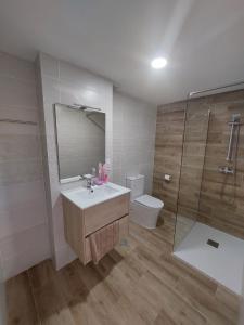 阿利坎特SDH apartments的一间带水槽、淋浴和卫生间的浴室