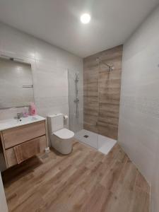 阿利坎特SDH apartments的浴室配有卫生间、淋浴和盥洗盆。