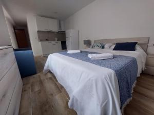 阿利坎特SDH apartments的一间卧室配有两张带蓝白色床单的床