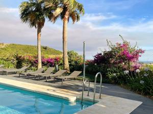 卡萨雷斯Superior apartment for golf, sea and nature lovers的一个带躺椅的游泳池,棕榈树