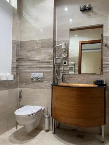 萨拉热窝Hotel Bistrik City Center的一间带卫生间、水槽和镜子的浴室