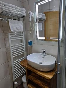 耶泽尔采湖滨旅馆的一间带水槽、镜子和卫生间的浴室