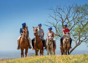利比里亚Buena Vista del Rincón Eco Adventure Park Hotel & Spa的一群在田野里骑马的人