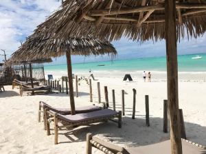 帕杰Duara Beach House的海滩上设有椅子和草伞,海洋