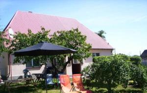 KarsibórAgroturystyka Pod Brzozami的院子里带遮阳伞和椅子的房子