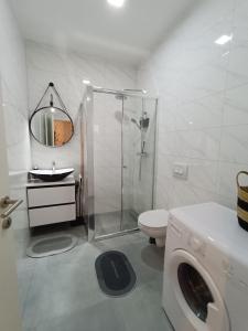 奥西耶克Tesla Point的带淋浴、卫生间和盥洗盆的浴室